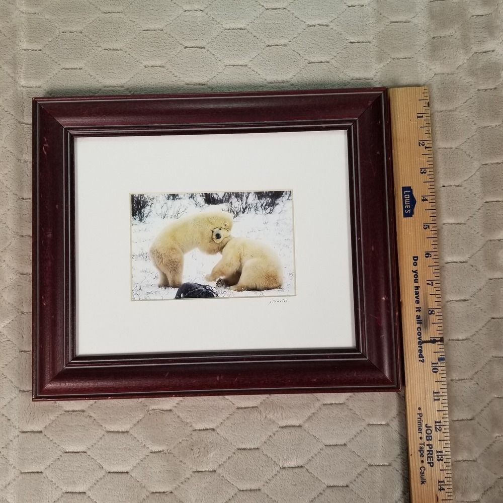 VTG Framed "Polar Hug" Signed By Jim Stamates See Pics